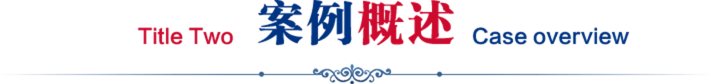 案例概述